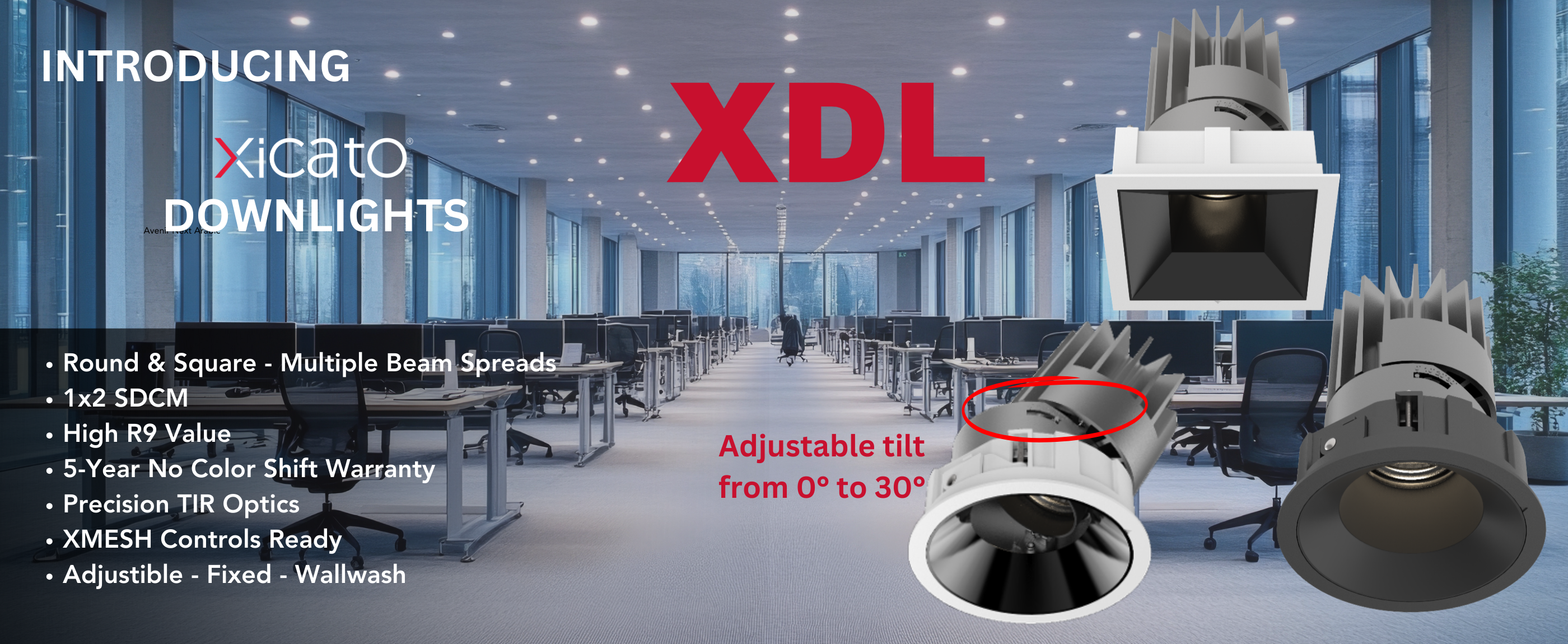 Introducing XDL Xicato Downlights